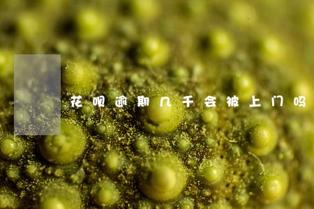 花呗逾期几千会被上门吗 花呗逾期几千会被上门吗