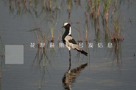 花呗逾期几号发信息 花呗逾期几号发信息