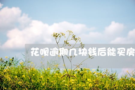 花呗逾期几块钱后能买房吗 花呗逾期几块钱后能买房吗