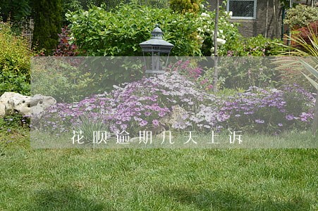 花呗逾期几天上诉 花呗逾期几天上诉