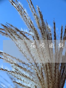 花呗逾期几天上门 花呗逾期几天上门
