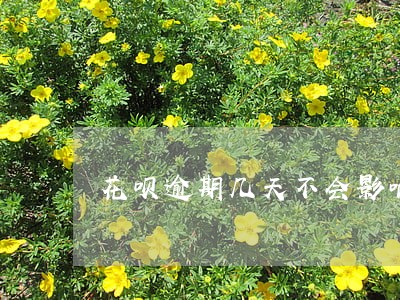 花呗逾期几天不会影响信用 花呗逾期几天不会影响信用