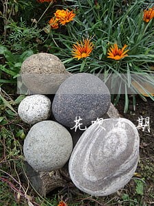 花呗逾期几天会上报征信中心 花呗逾期几天会上报征信中心