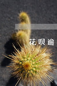 花呗逾期几天会不会影响征信 花呗逾期几天会不会影响征信