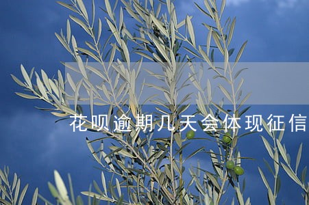 花呗逾期几天会体现征信 花呗逾期几天会体现征信