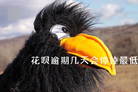 花呗逾期几天会停掉最低还款吗 花呗逾期几天会停掉最低还款吗
