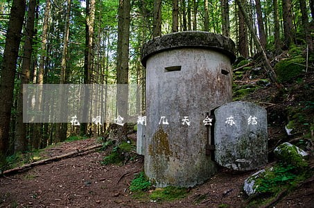 花呗逾期几天会冻结 花呗逾期几天会冻结