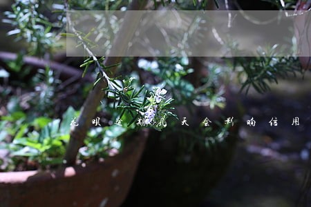 花呗逾期几天会影响信用呢 花呗逾期几天会影响信用呢