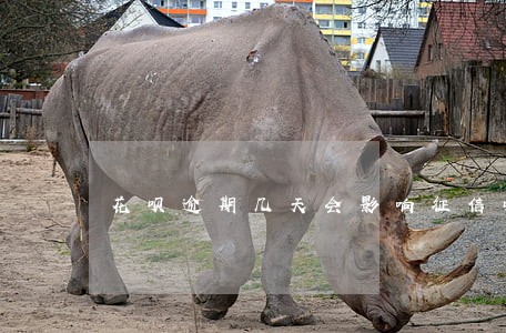 花呗逾期几天会影响征信吗
