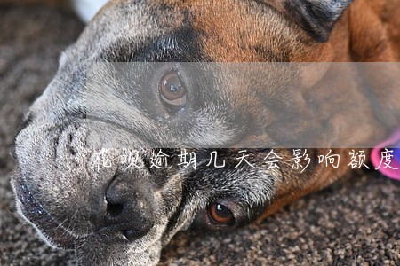 花呗逾期几天会影响额度 花呗逾期几天会影响额度
