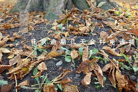 花呗逾期几天会打电话提醒 花呗逾期几天会打电话提醒