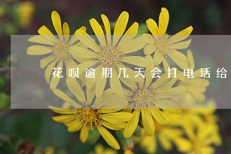 花呗逾期几天会打电话给家人吗 花呗逾期几天会打电话给家人吗