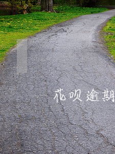 花呗逾期几天会扣信用 花呗逾期几天会扣信用