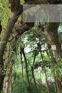 花呗逾期几天会有什么影响