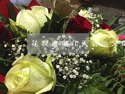 花呗逾期几天会给父母打电话 花呗逾期几天会给父母打电话