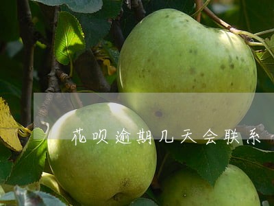 花呗逾期几天会联系 花呗逾期几天会联系