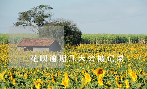 花呗逾期几天会被记录 花呗逾期几天会被记录
