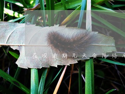 花呗逾期几天会降信用分 花呗逾期几天会降信用分