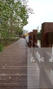 花呗逾期几天会降芝麻分 花呗逾期几天会降芝麻分