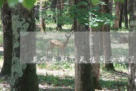 花呗逾期几天信用分掉了59 花呗逾期几天信用分掉了59