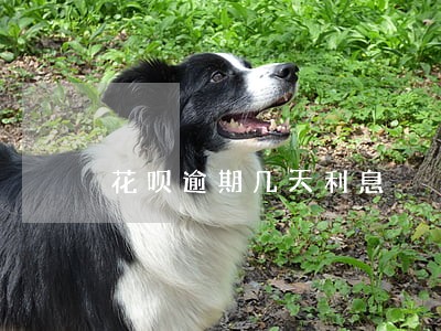 花呗逾期几天利息