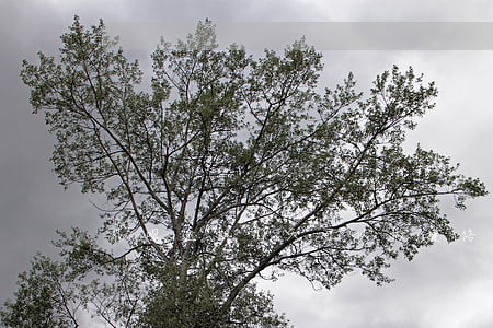 花呗逾期几天可以做捷信分期吗 花呗逾期几天可以做捷信分期吗