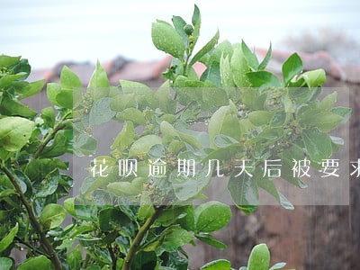 花呗逾期几天后被要求还清 花呗逾期几天后被要求还清