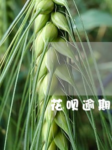 花呗逾期几天威胁还全款 花呗逾期几天威胁还全款