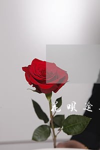 花呗逾期几天对涨额度有影响吗 花呗逾期几天对涨额度有影响吗