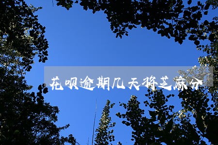 花呗逾期几天将芝麻分 花呗逾期几天将芝麻分