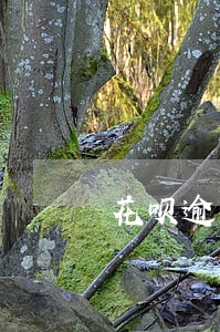 花呗逾期几天就打电话催 花呗逾期几天就打电话催