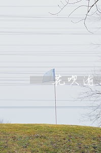花呗逾期几天影响分期买车吗