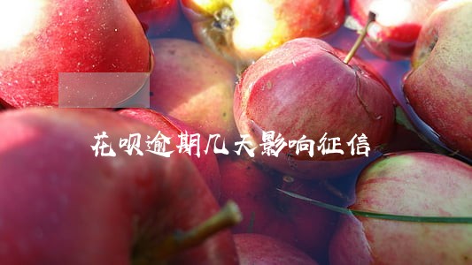 花呗逾期几天影响征信