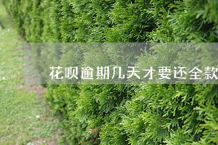 花呗逾期几天才要还全款 花呗逾期几天才要还全款