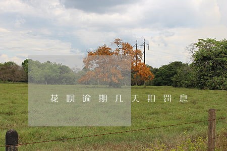 花呗逾期几天扣罚息 花呗逾期几天扣罚息