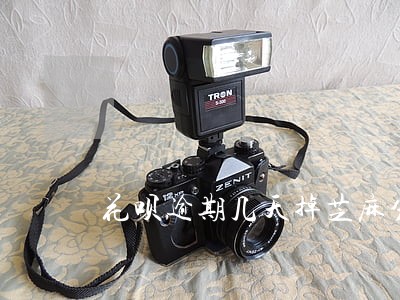 花呗逾期几天掉芝麻分 花呗逾期几天掉芝麻分