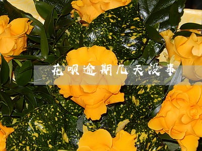 花呗逾期几天没事 花呗逾期几天没事