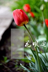 花呗逾期几天没事吧 花呗逾期几天没事吧