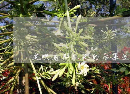 花呗逾期几天的后果是什么意思 花呗逾期几天的后果是什么意思