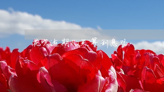 花呗逾期几天算利息吗 花呗逾期几天算利息吗