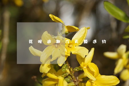花呗逾期几天算违约 花呗逾期几天算违约
