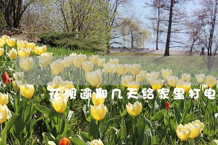 花呗逾期几天给家里打电话 花呗逾期几天给家里打电话