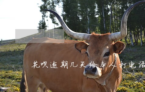 花呗逾期几天给本人打电话 花呗逾期几天给本人打电话