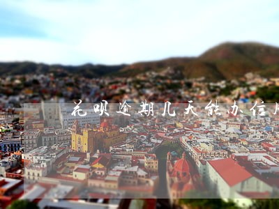 花呗逾期几天能办信用卡吗
