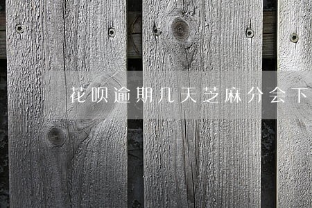花呗逾期几天芝麻分会下降吗