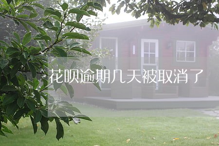 花呗逾期几天被取消了 花呗逾期几天被取消了