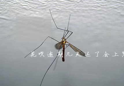 花呗逾期几天还了会上黑名单吗 花呗逾期几天还了会上黑名单吗