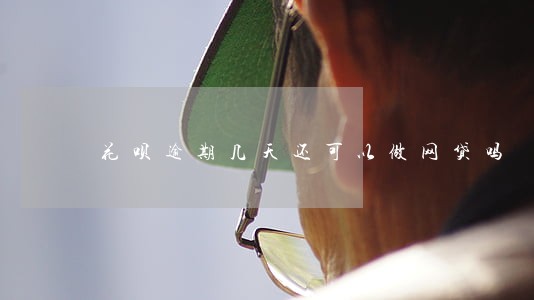 花呗逾期几天还可以做网贷吗 花呗逾期几天还可以做网贷吗