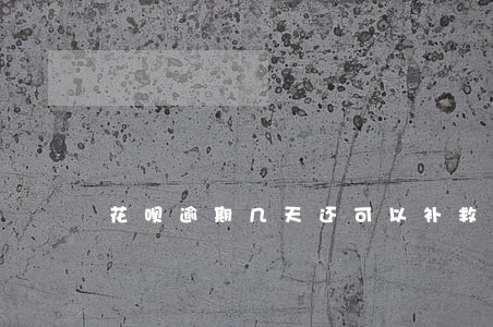 花呗逾期几天还可以补救吗 花呗逾期几天还可以补救吗