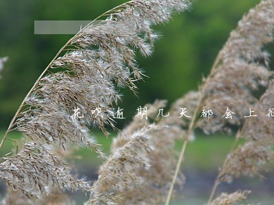 花呗逾期几天都会上征信吗 花呗逾期几天都会上征信吗